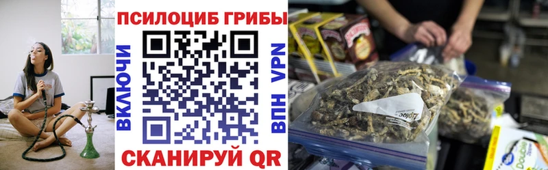 Галлюциногенные грибы Psilocybe  Чулым 